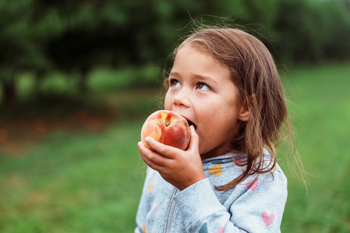 Common food allergens displayed